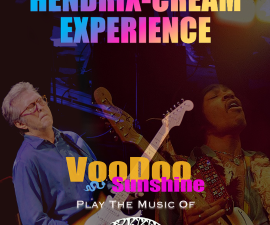Voodoo Sunshine website